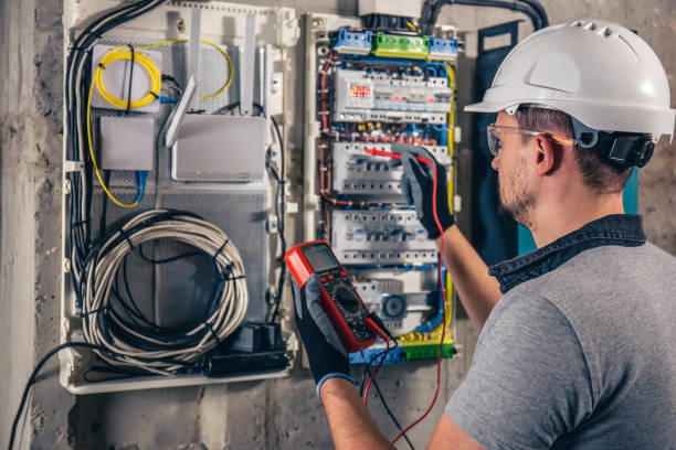 Best Electric Panel Repair  in Applewood, CO