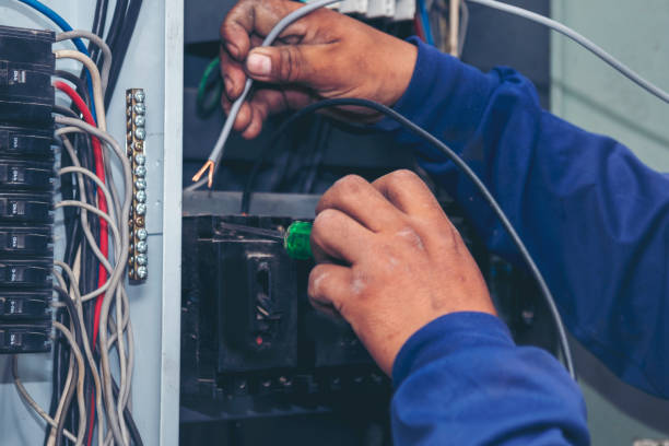 Best Local Electrician Companies  in Applewood, CO